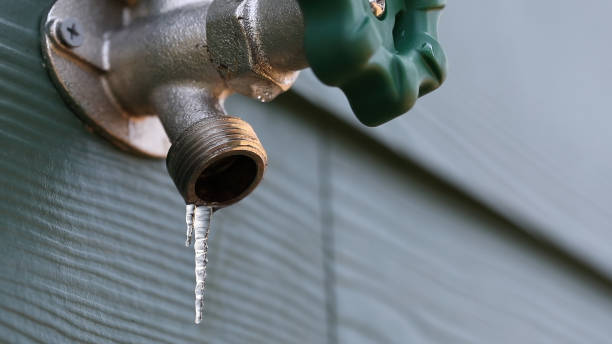 Best Shower Repair Services  in Cove Creek, NC